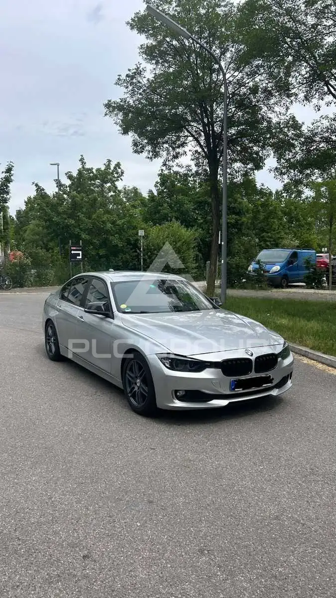 2013 BMW 316