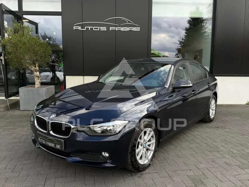 2013 BMW 316