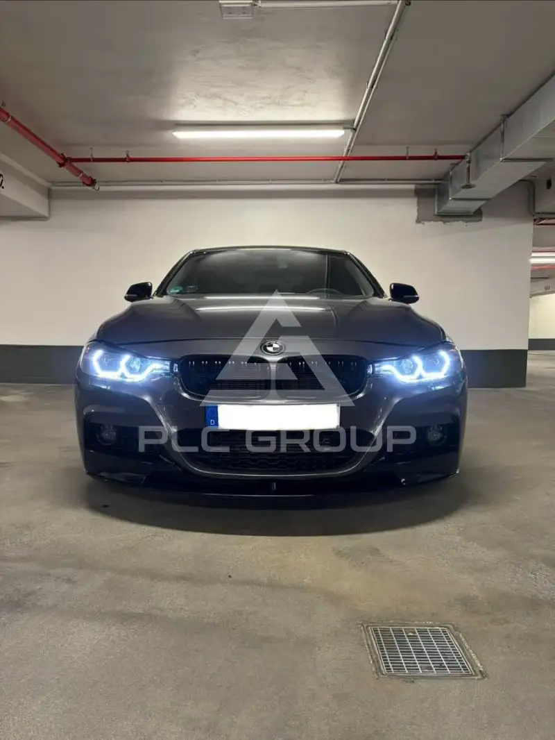 2013 BMW 316