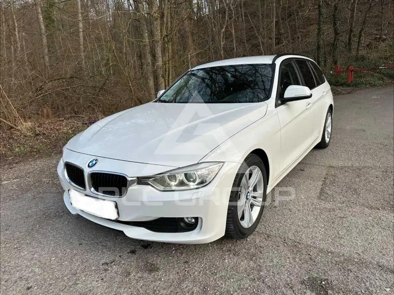 2013 BMW 316