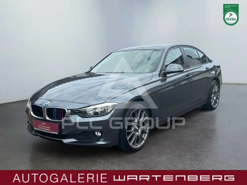 2013 BMW 316