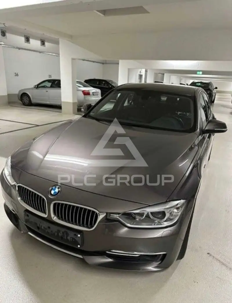 2013 BMW 316