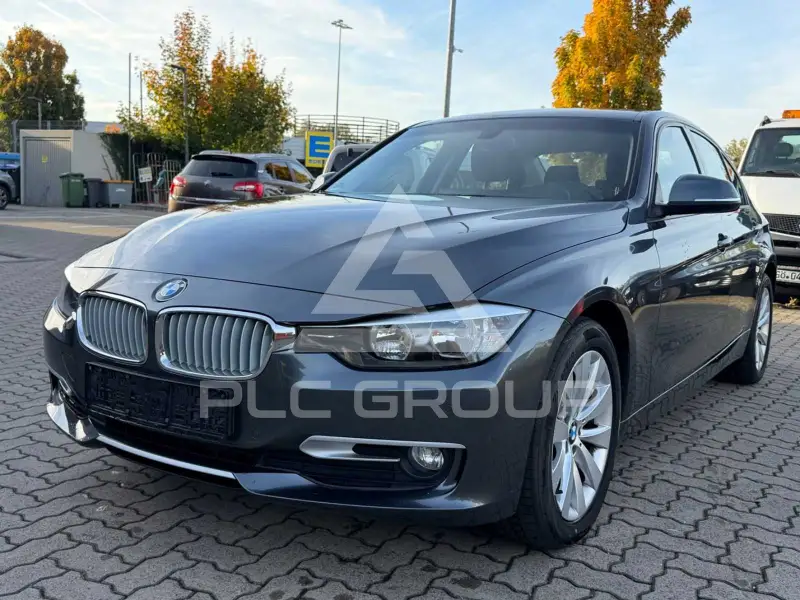 2013 BMW 316