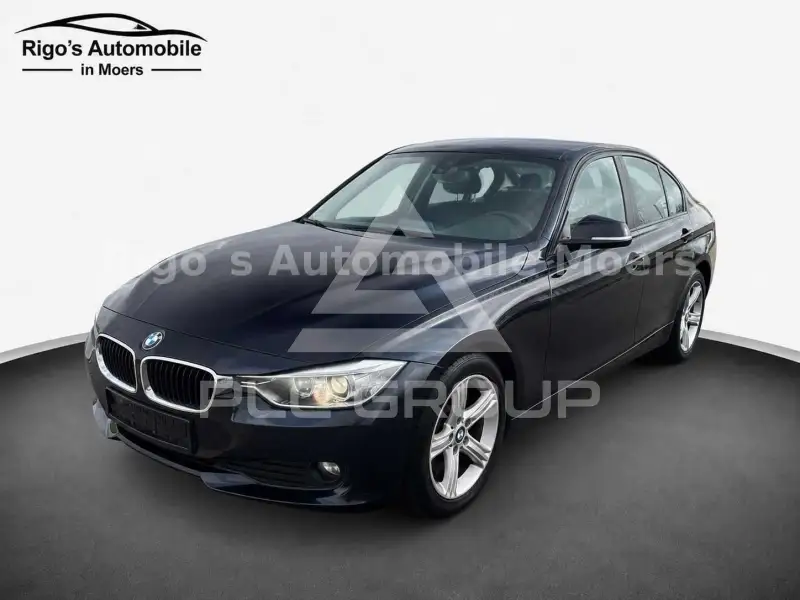 2013 BMW 316