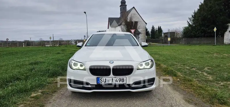 2013 BMW 530