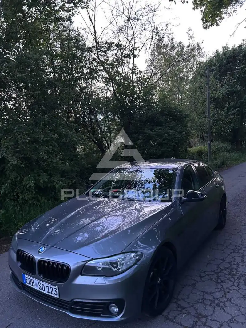 2013 BMW 530