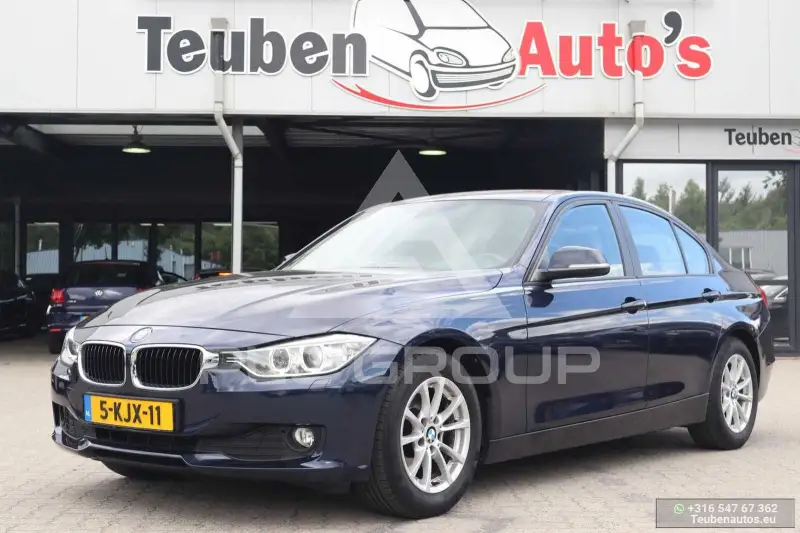 2013 BMW 320