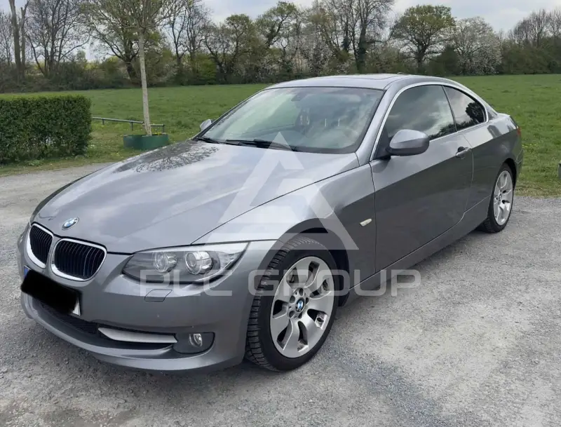 2013 BMW 320