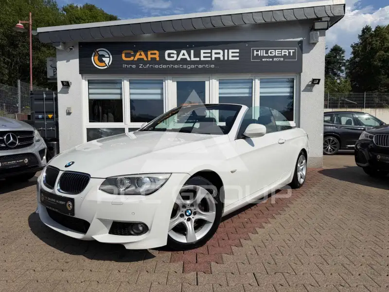 2013 BMW 320