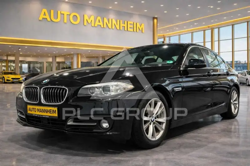 2013 BMW 520