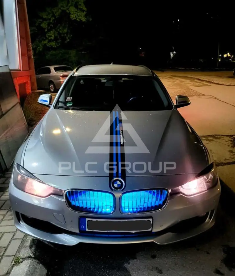 2013 BMW 318