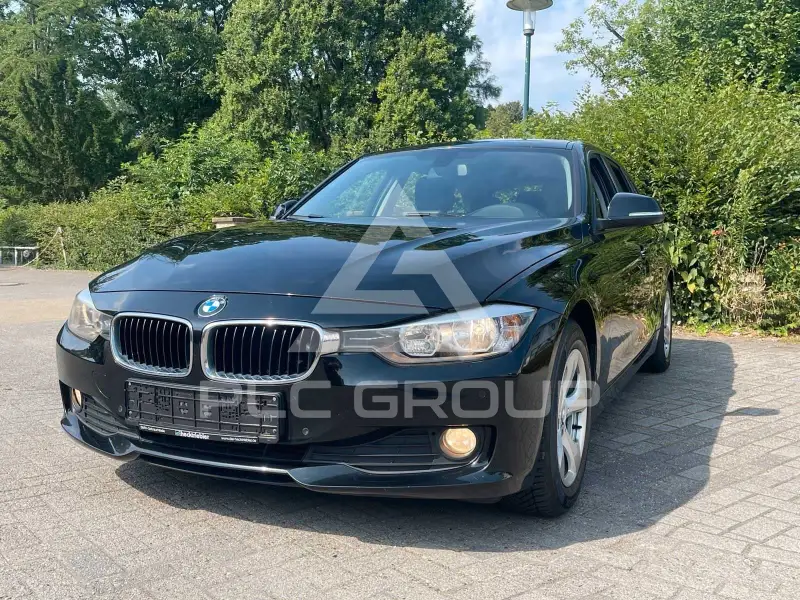 2013 BMW 318