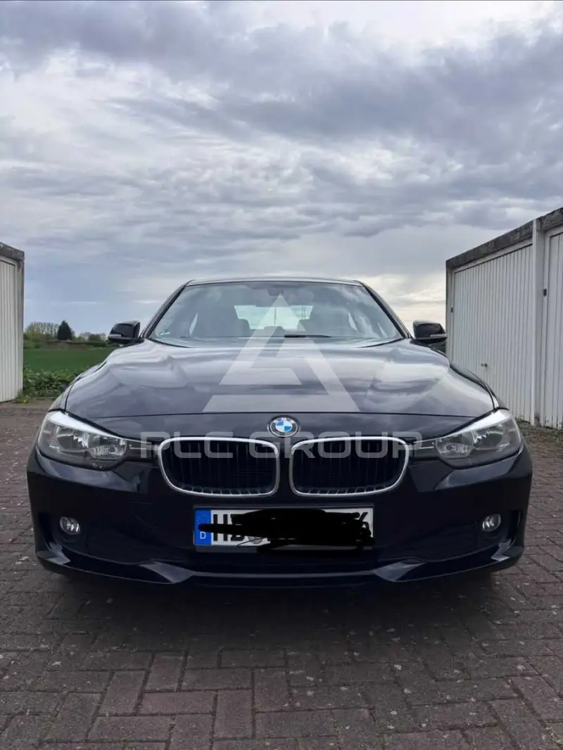 2013 BMW 318