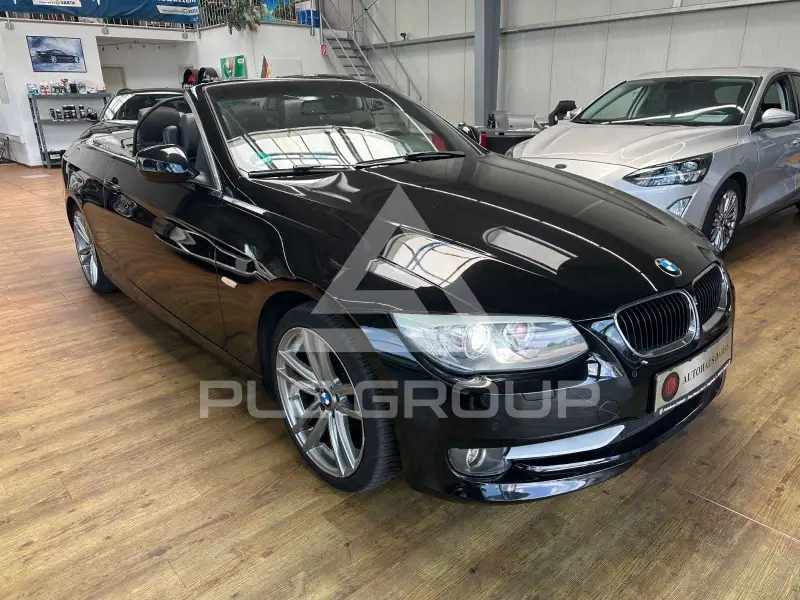 2013 BMW 318