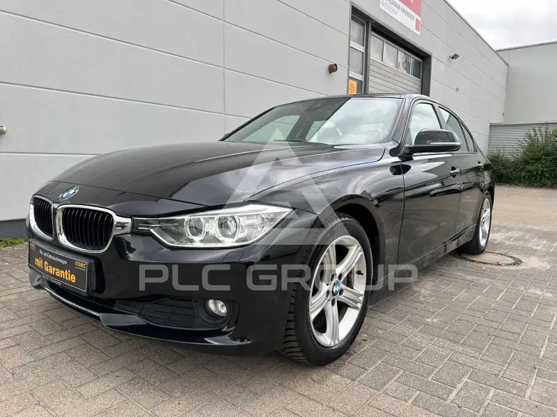 2013 BMW 318