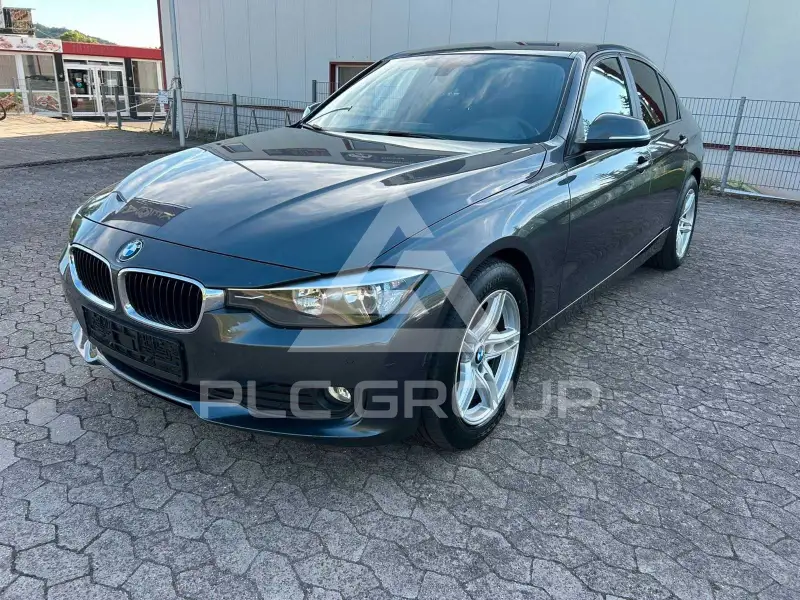 2013 BMW 318