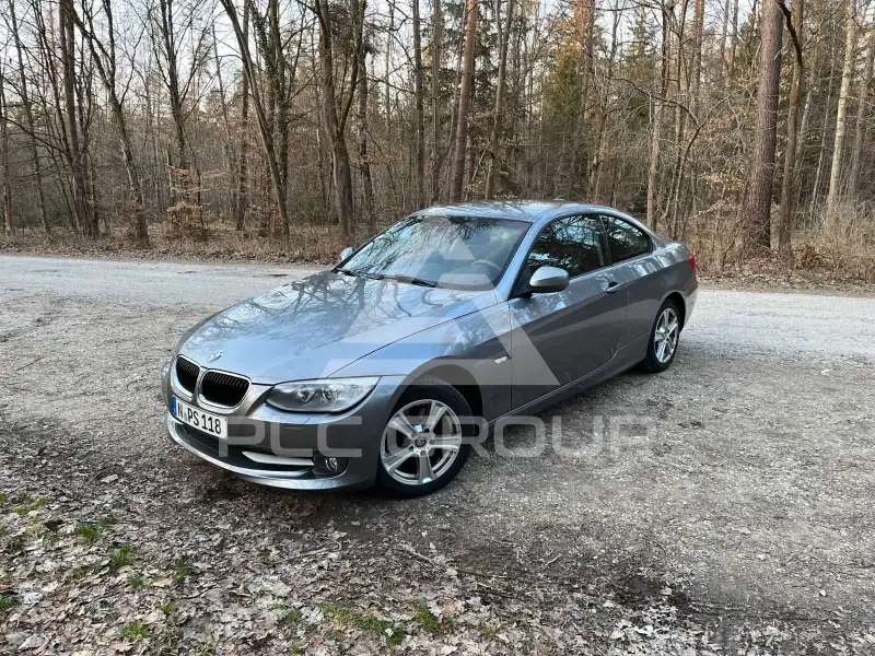 2013 BMW 318