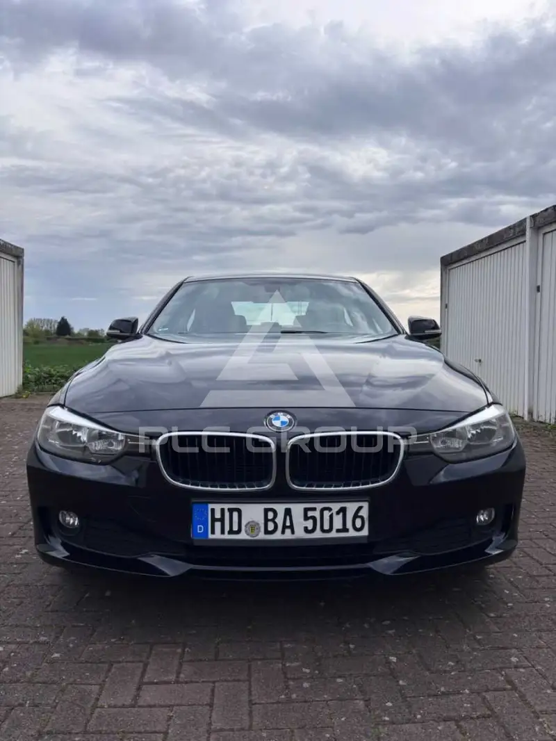 2013 BMW 318