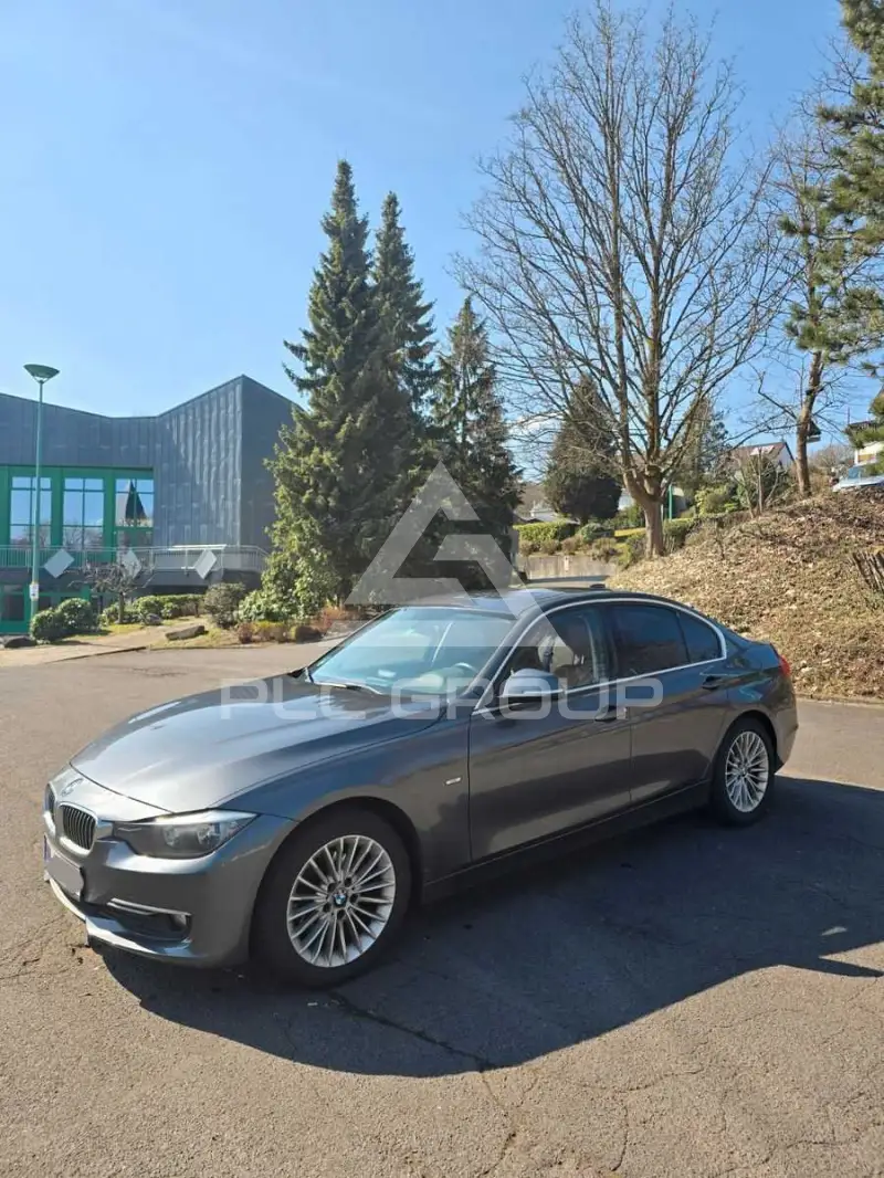 2013 BMW 318