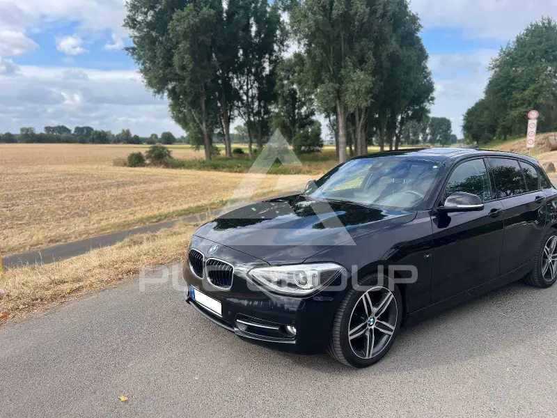 2013 BMW 118
