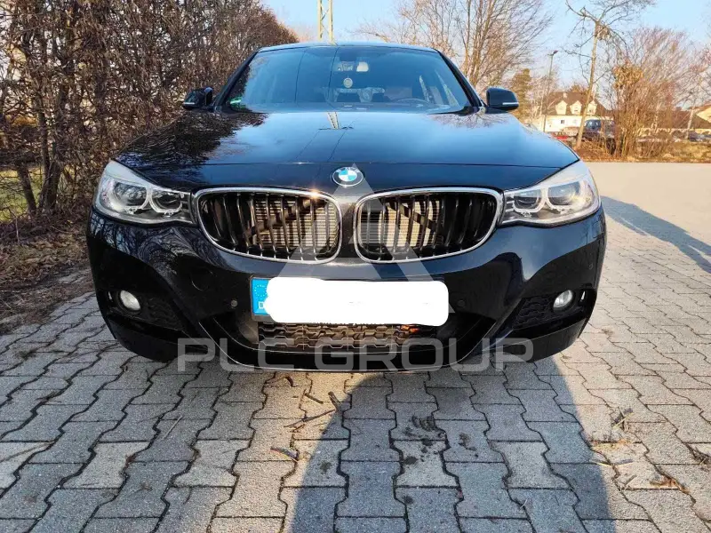 2013 BMW 318
