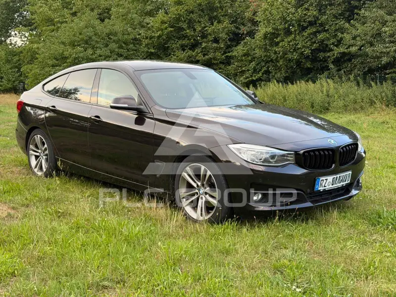 2013 BMW 318