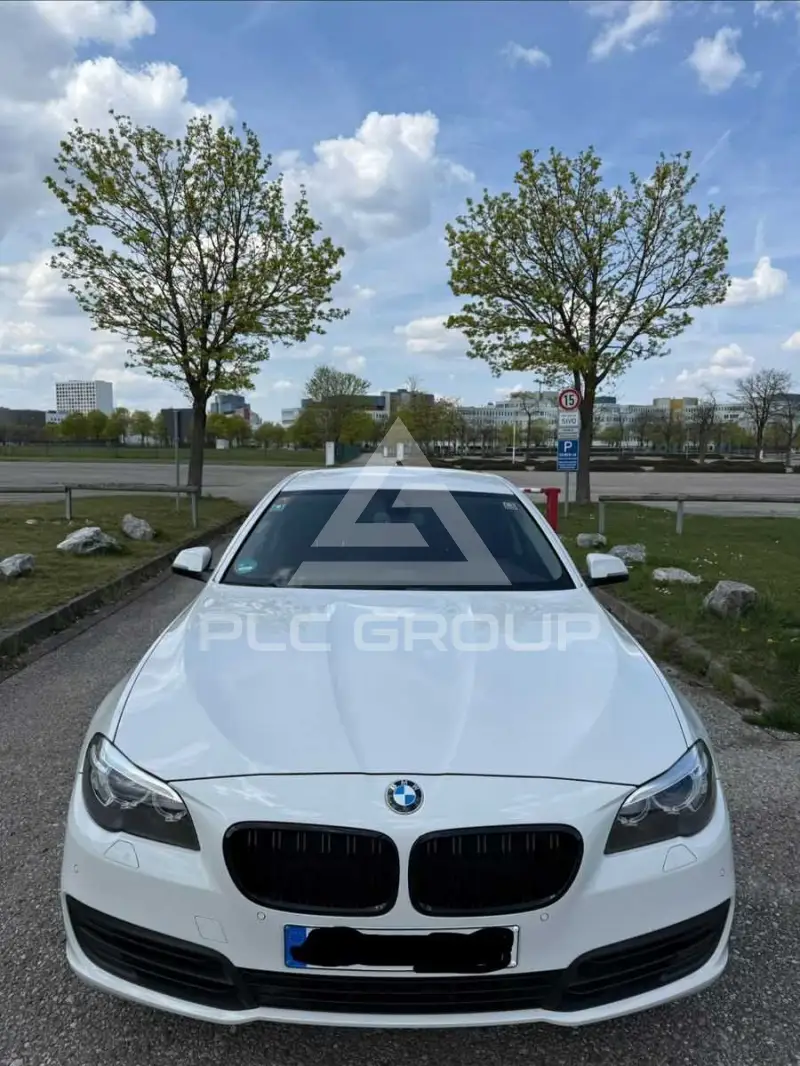 2013 BMW 518