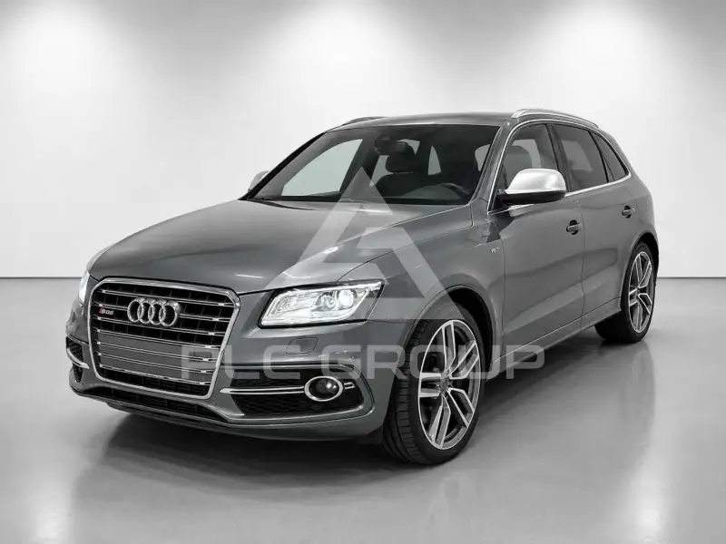 2013 Audi SQ5