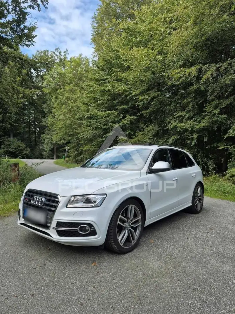 2013 Audi SQ5