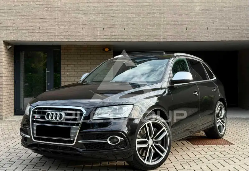 2013 Audi SQ5