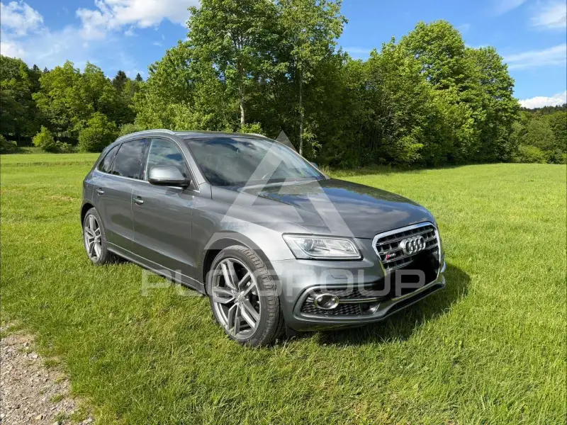 2013 Audi SQ5