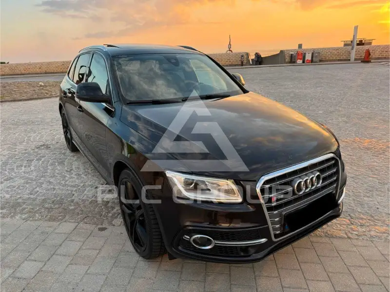 2013 Audi SQ5