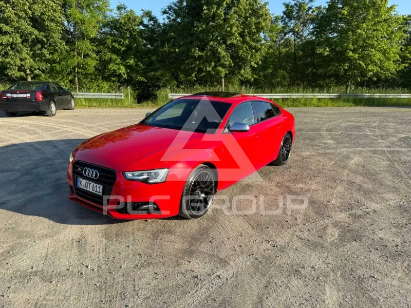 2013 Audi S5