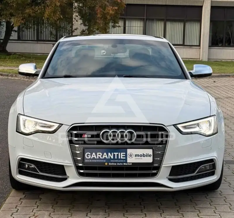 2013 Audi S5