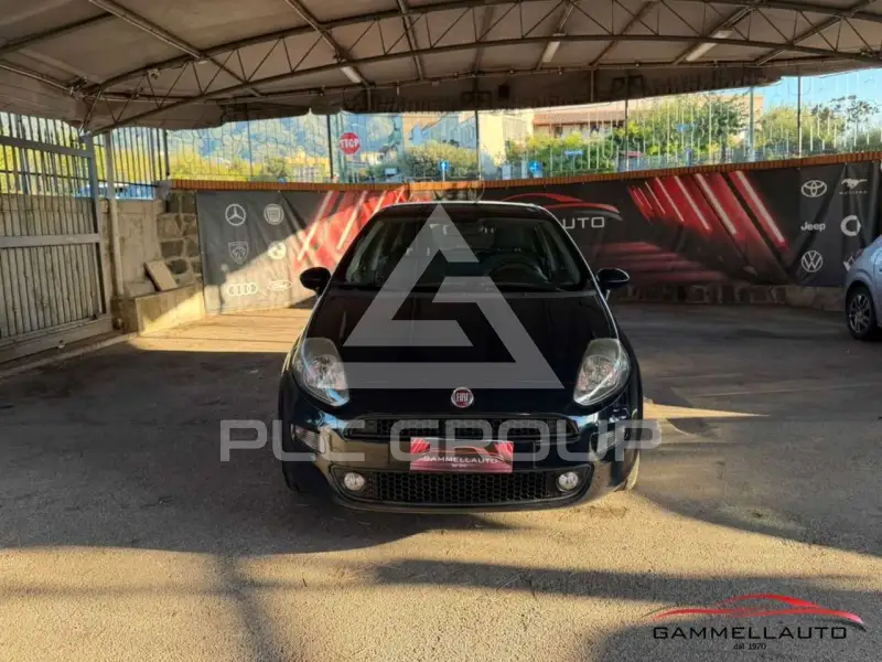 2013 Fiat Punto