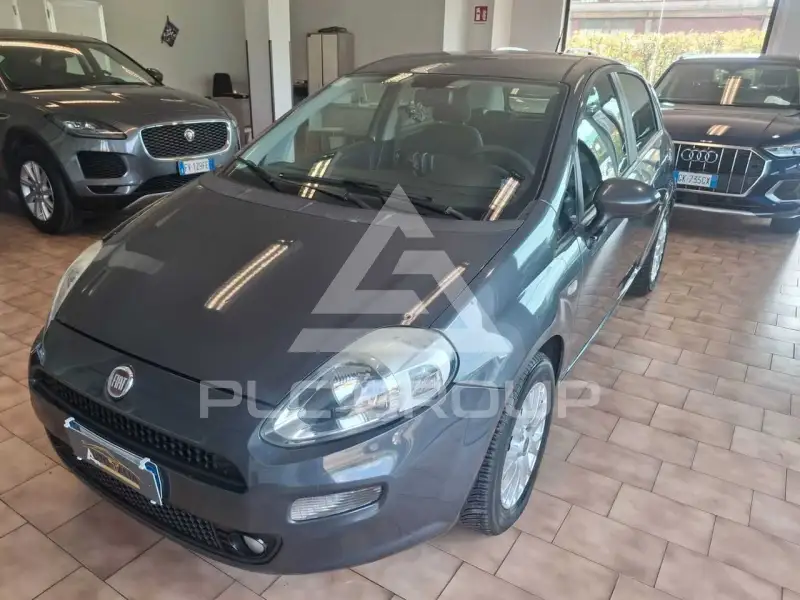 2013 Fiat Punto