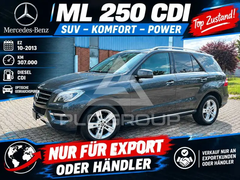 2013 Mercedes Benz ML 250