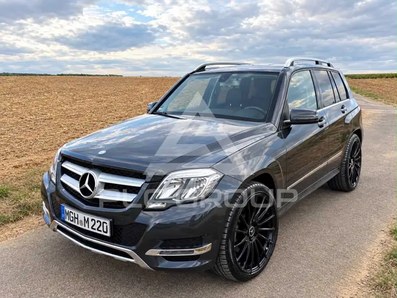 2013 Mercedes Benz GLK 220