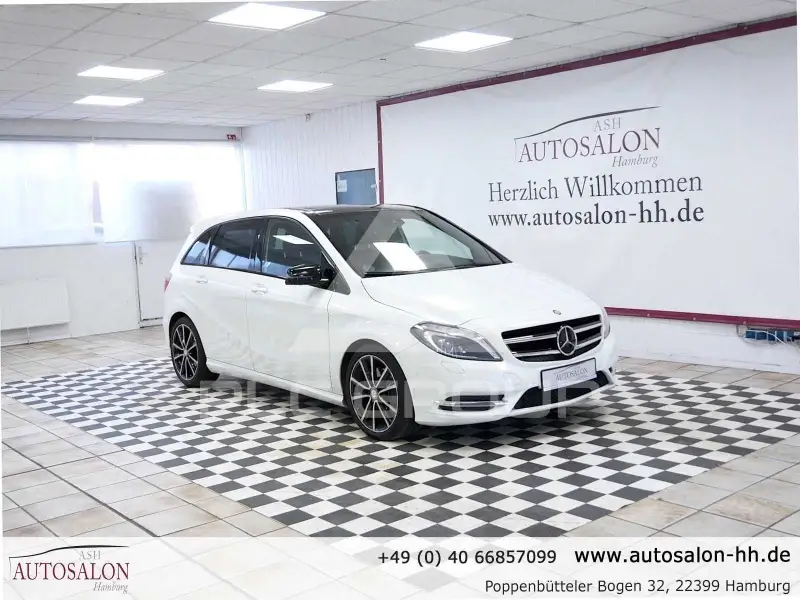 2013 Mercedes Benz B 250