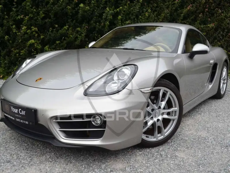 2013 Porsche Cayman