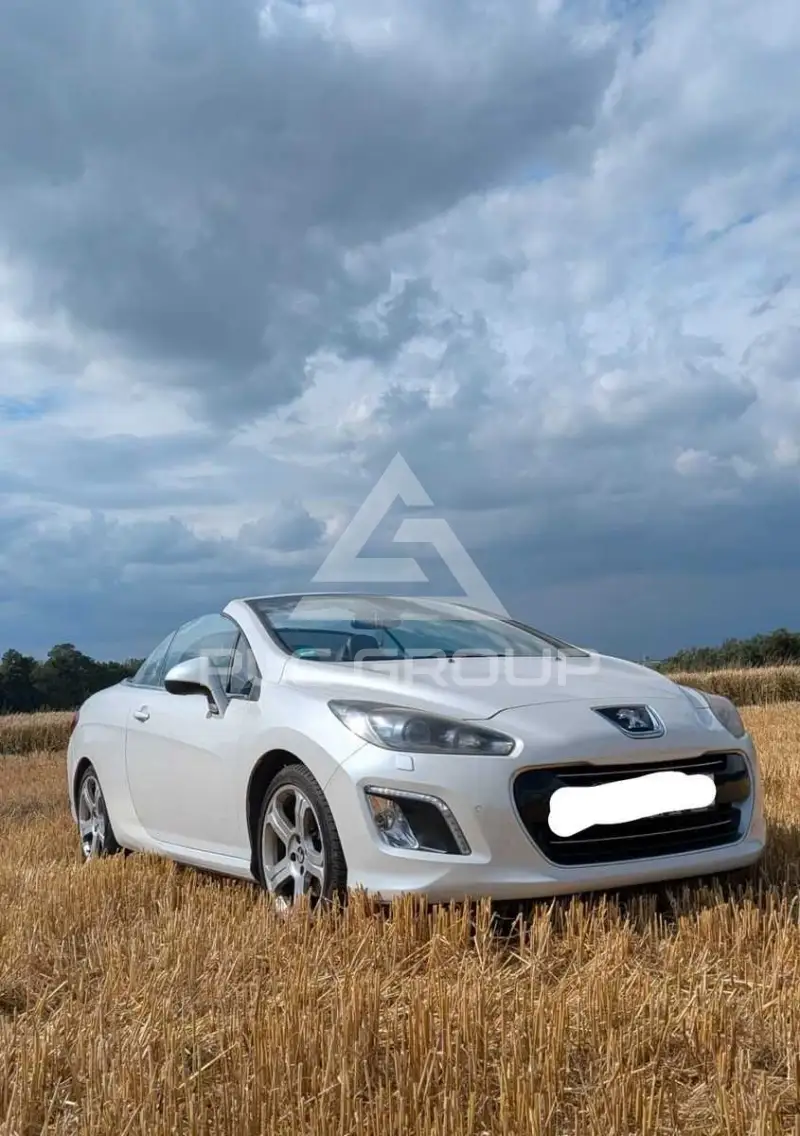2013 Peugeot 308