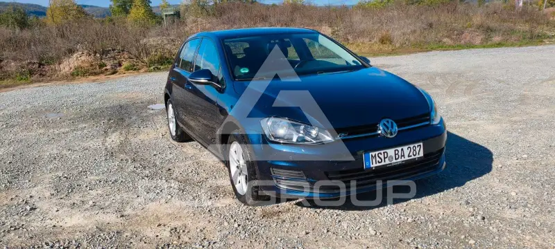 2013 Volkswagen GOLF