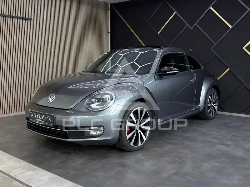 2013 Volkswagen BEETLE