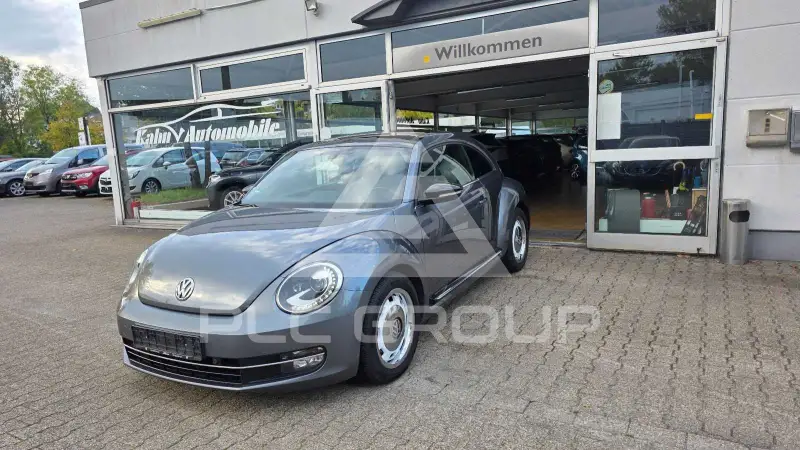 2013 Volkswagen BEETLE