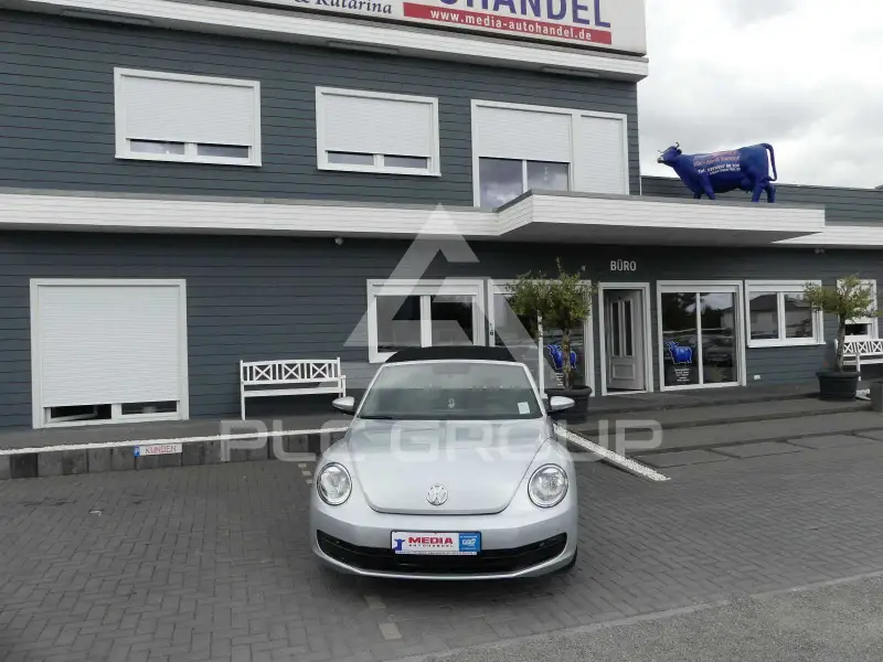2013 Volkswagen BEETLE