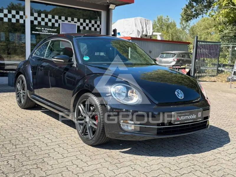 2013 Volkswagen BEETLE