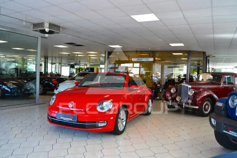 2013 Volkswagen BEETLE