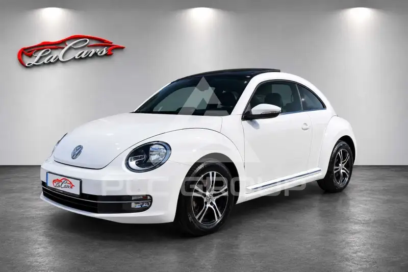 2013 Volkswagen BEETLE