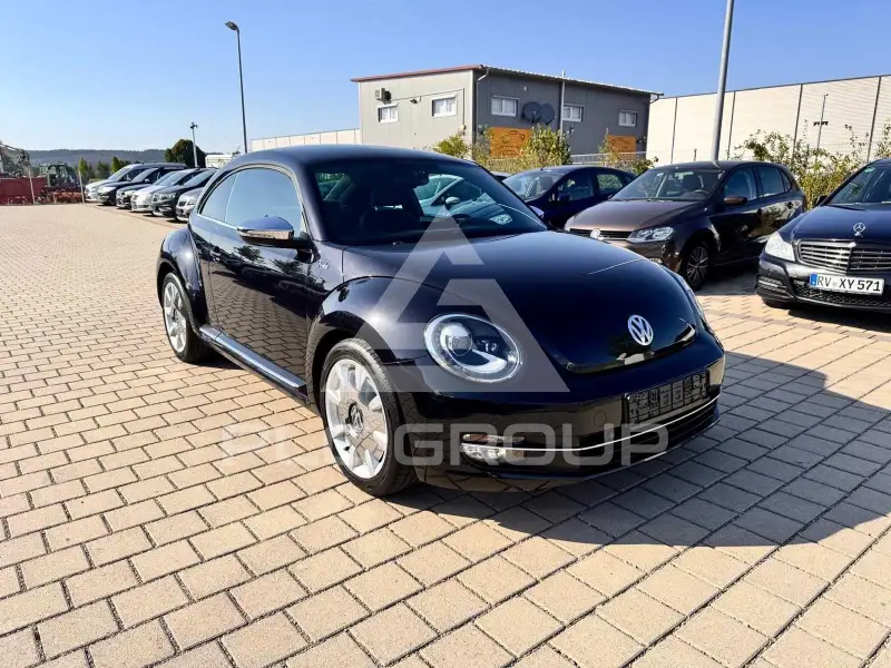 2013 Volkswagen BEETLE