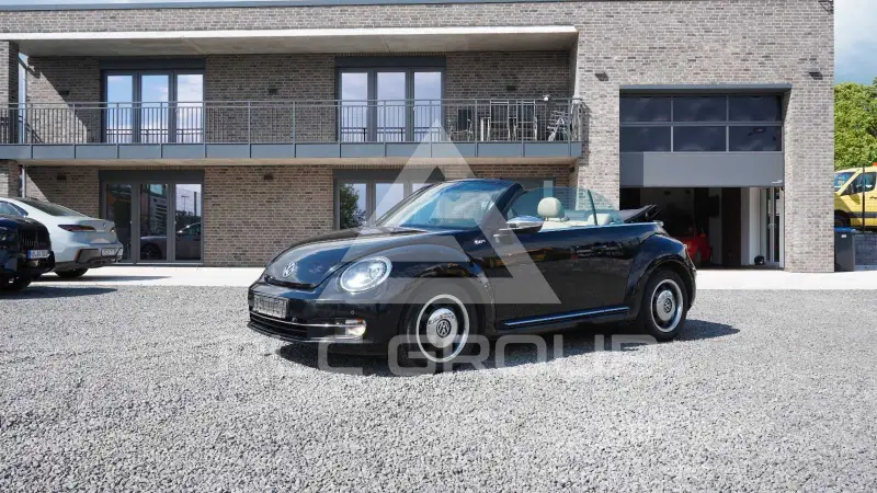 2013 Volkswagen BEETLE